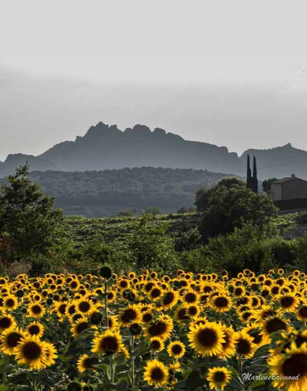 Chambres D'Hotes Aux Tournesols Malaucène 외부 사진